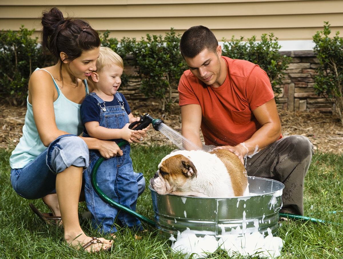 grooming-at-home-dog-bath